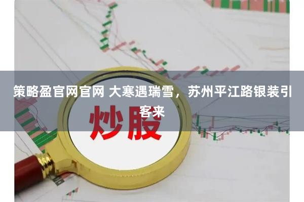 策略盈官网官网 大寒遇瑞雪，苏州平江路银装引客来