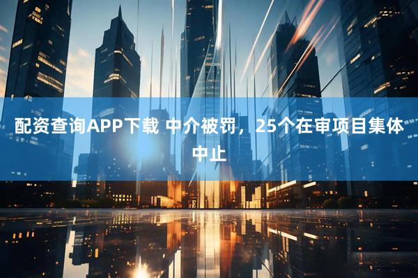 配资查询APP下载 中介被罚，25个在审项目集体中止