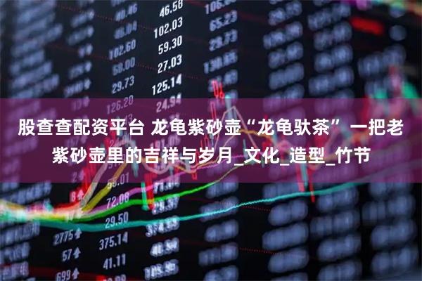 股查查配资平台 龙龟紫砂壶“龙龟驮茶” 一把老紫砂壶里的吉祥与岁月_文化_造型_竹节