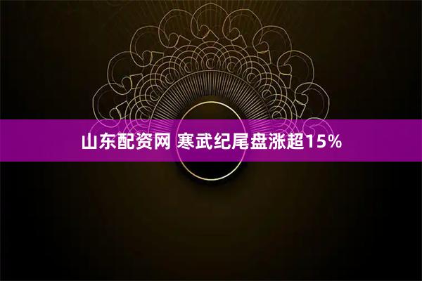 山东配资网 寒武纪尾盘涨超15%