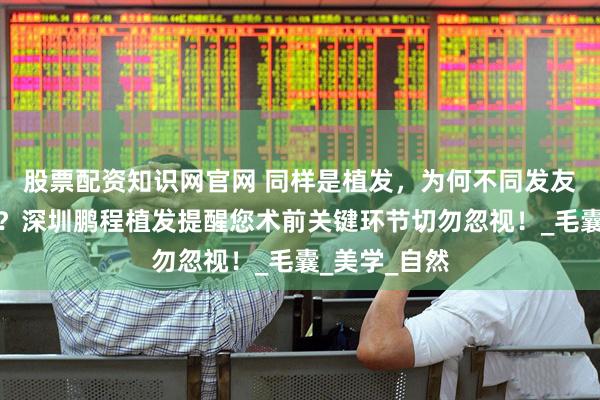 股票配资知识网官网 同样是植发,为何不同发友差别那么大?深圳鹏程植发提醒您术前关键环节切勿忽视!_毛囊_美学_自然