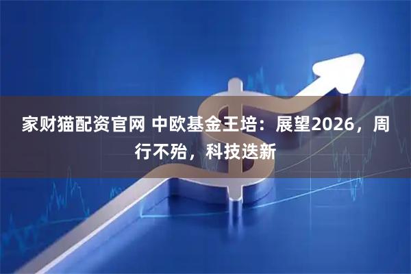 家财猫配资官网 中欧基金王培:展望2026,周行不殆,科技迭新
